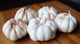 Gambar Bawang Puti potret (fb)