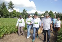 Wali Kota Kotamobagu Kunjungi Perkebunan Nilam dan Tempat Penyulingan di Bungko//Foto: Istimewa.
