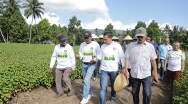 Wali Kota Kotamobagu Kunjungi Perkebunan Nilam dan Tempat Penyulingan di Bungko//Foto: Istimewa.