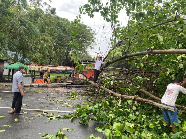 Sejumlah Pohon Tumbang, angin kencang Kota kisaran (Potret: Afrizal Margolang)