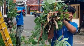 Lapas Cipinang Gelar Asimilasi Kerja, Aarga Binaan Bersihkan Tanaman Liar demi Keamanan dan Reintegrasi Sosial//Foto: Istimewa.