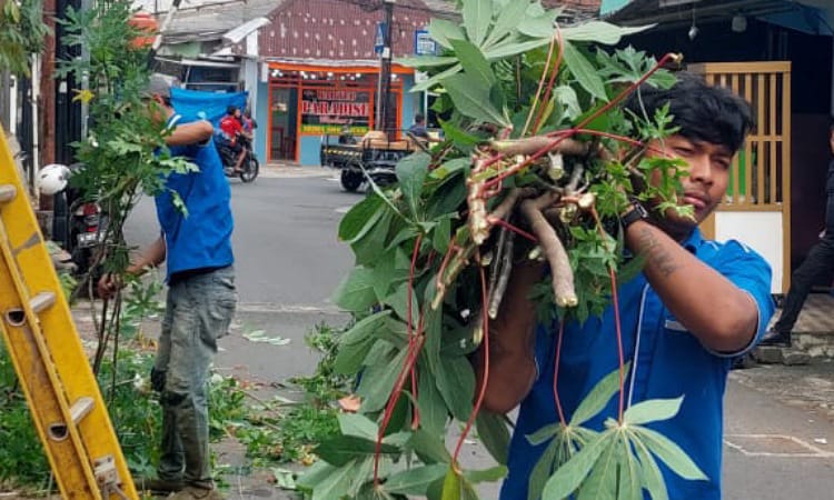 Lapas Cipinang Gelar Asimilasi Kerja, Aarga Binaan Bersihkan Tanaman Liar demi Keamanan dan Reintegrasi Sosial//Foto: Istimewa.